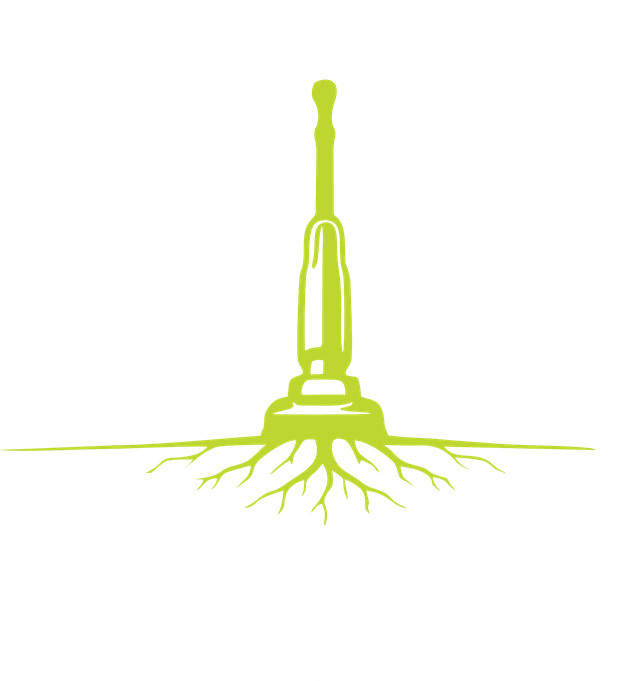 Roots Cleaning Services